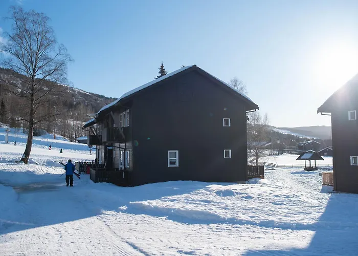 Koselig Leilighet Med Ski Bike In And Out Nr 34