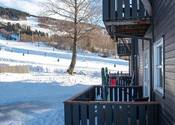 Koselig Leilighet Med Ski Bike In And Out Nr 34