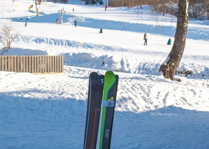 Koselig Leilighet Med Ski Bike In And Out Nr 34